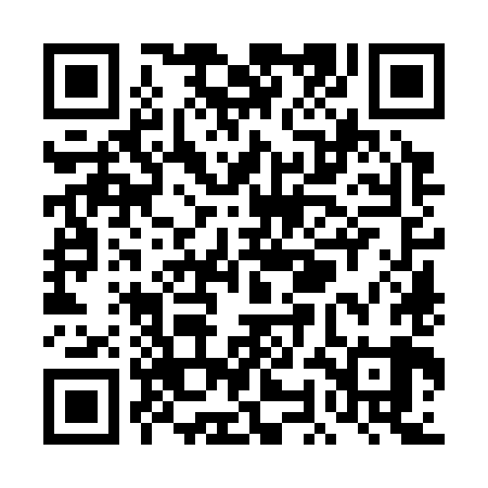 QR code for TOO389
