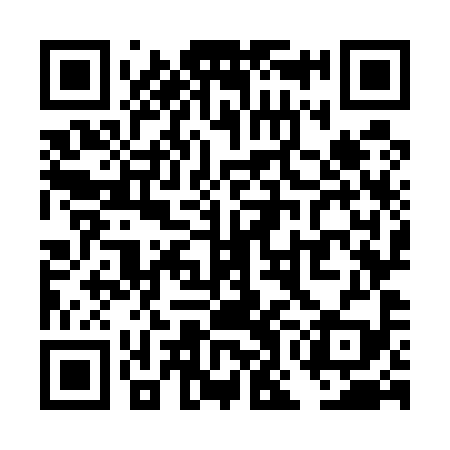 QR code for TOO599
