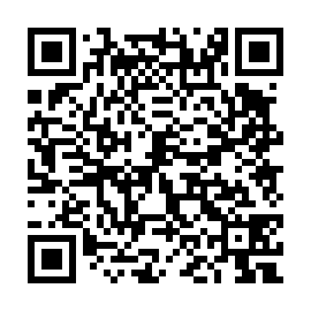 QR code for TOP438