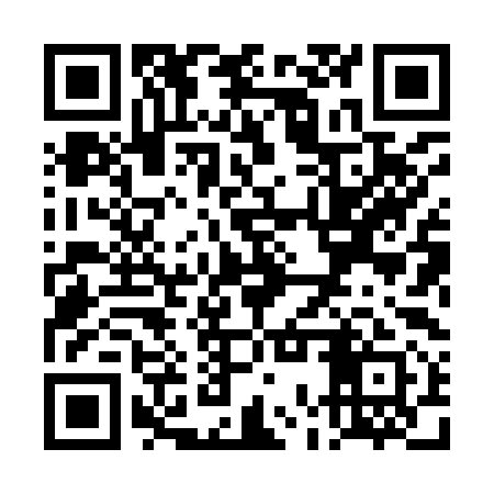 QR code for TOX991