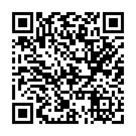 QR code for TOY141