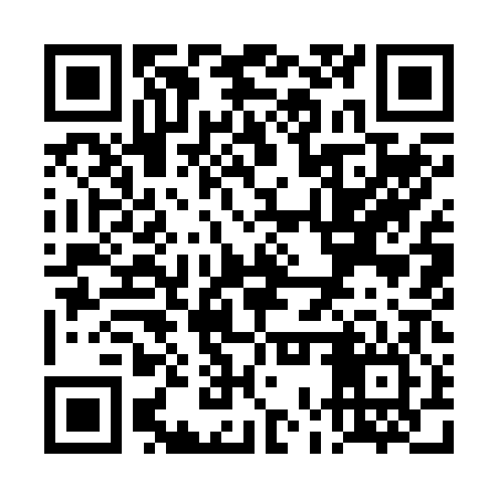 QR code for TOY206