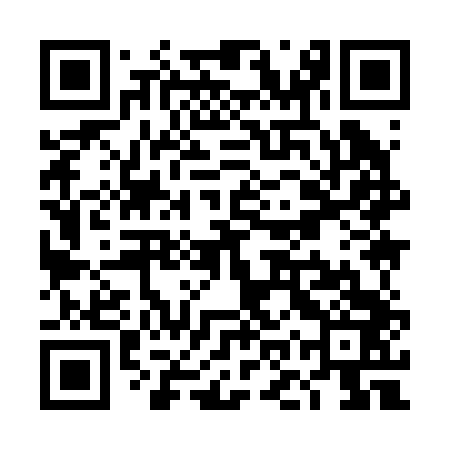 QR code for TOY243