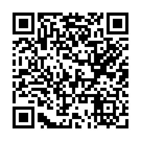 QR code for TOY303
