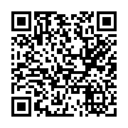 QR code for TOY325