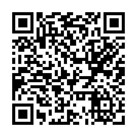 QR code for TOY335