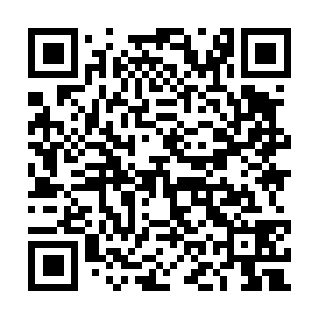 QR code for TOY438