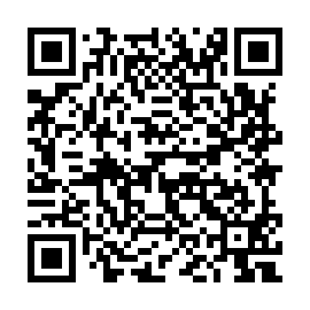 QR code for TOY991