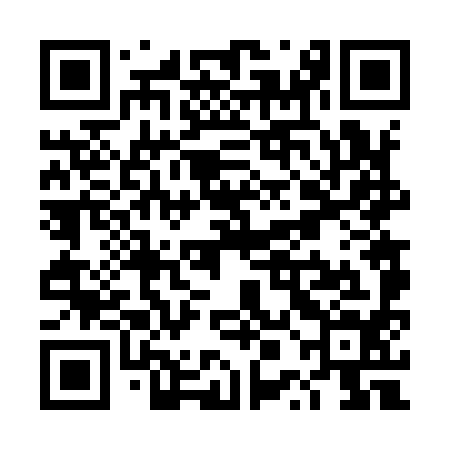 QR code for TPF994
