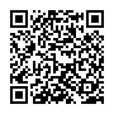 QR code for TPI029