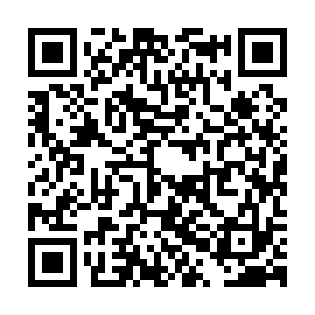 QR code for TPI133