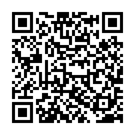 QR code for TPL291