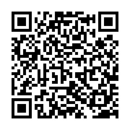QR code for TPL595