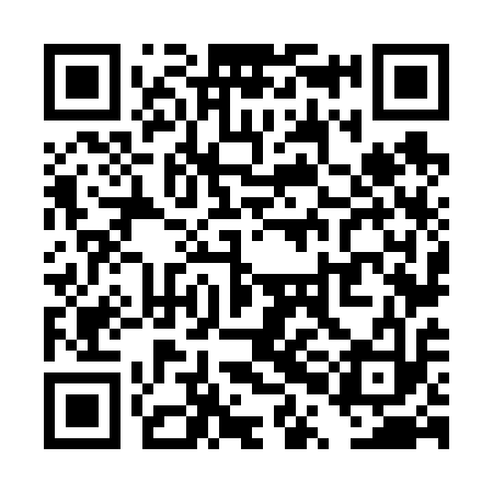 QR code for TPN613