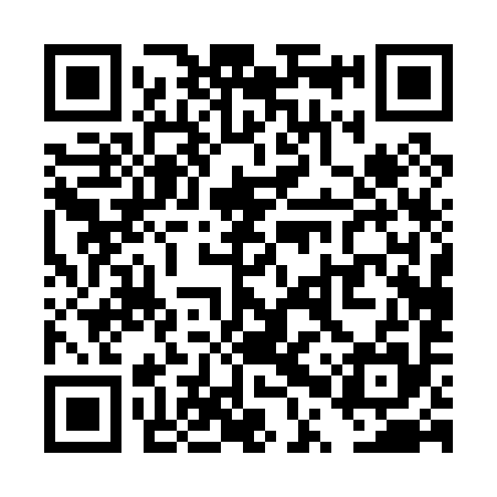 QR code for TPP095