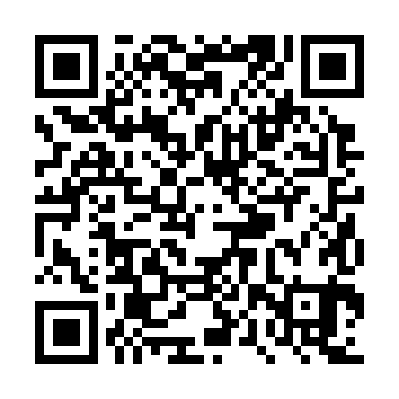 QR code for TPR381