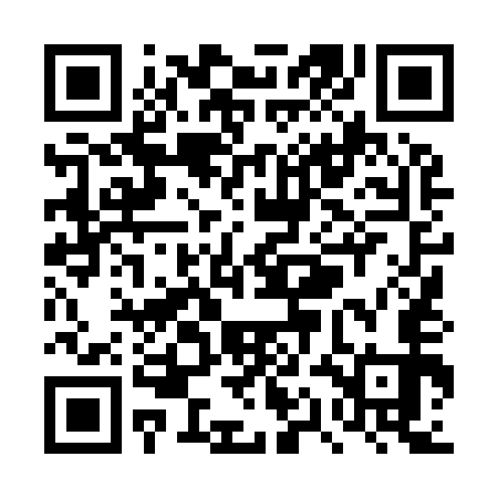 QR code for TQL953