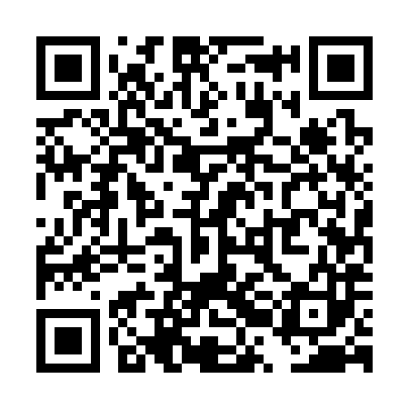 QR code for TRE383