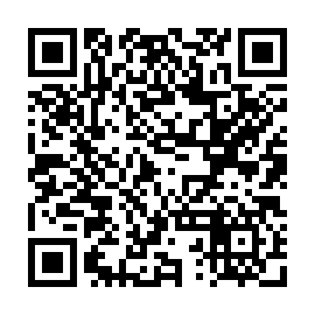 QR code for TRN387