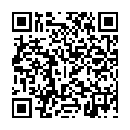QR code for TSA376