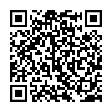 QR code for TSL011