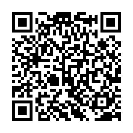 QR code for TSL125