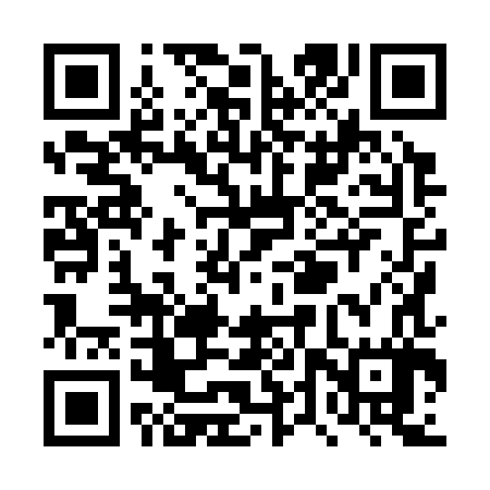 QR code for TTX387