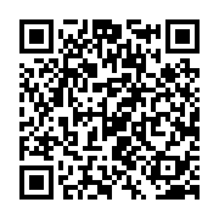 QR code for TUD239