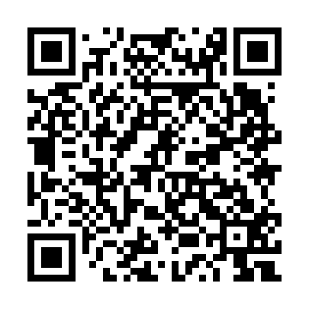 QR code for TUI613