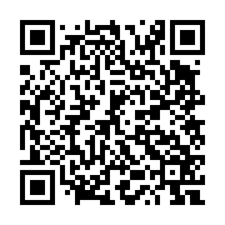 QR code for TUR466