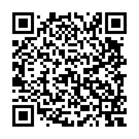 QR code for TUX493