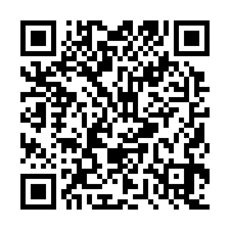 QR code for TWA333