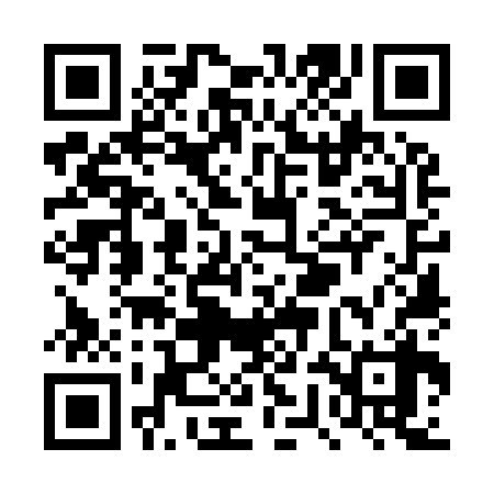 QR code for TWO938
