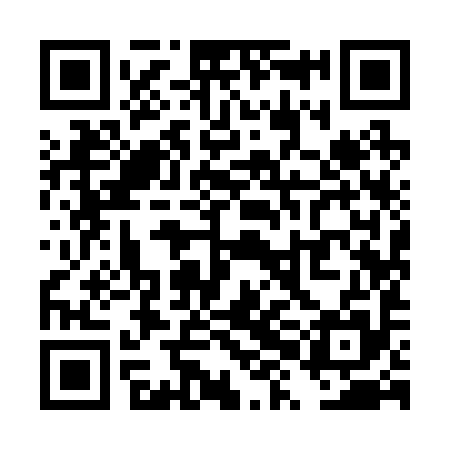 QR code for TXI295