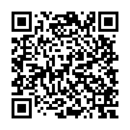 QR code for TXT509