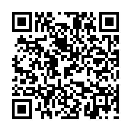 QR code for TYI383
