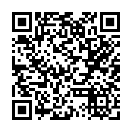 QR code for TYI387