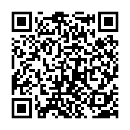 QR code for TYO238
