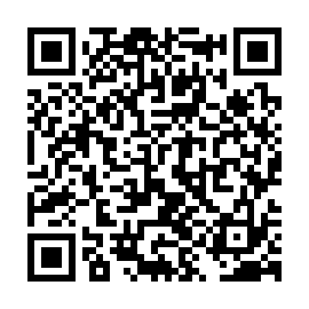 QR code for TYO333