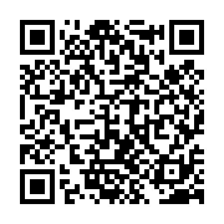 QR code for TYO411