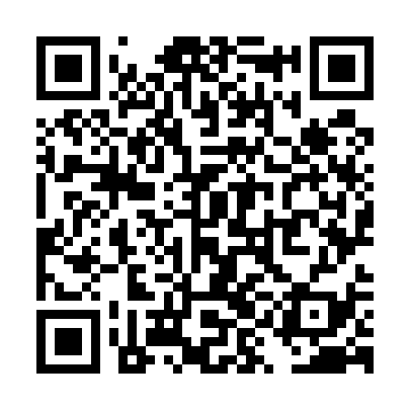 QR code for TYO539