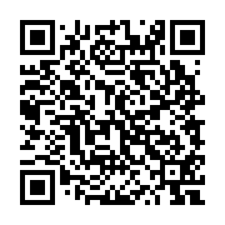 QR code for TZD311