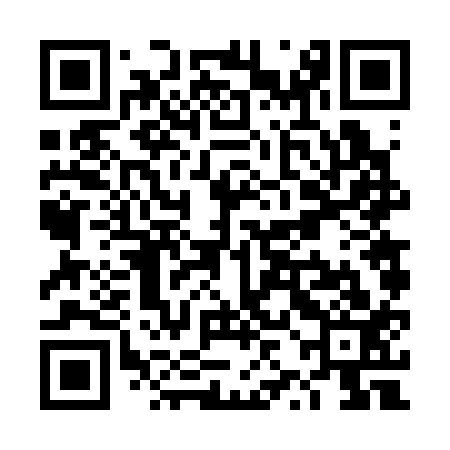 QR code for TZF313