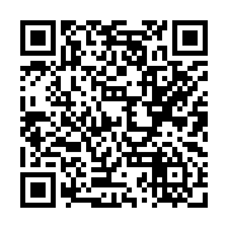 QR code for TZH995