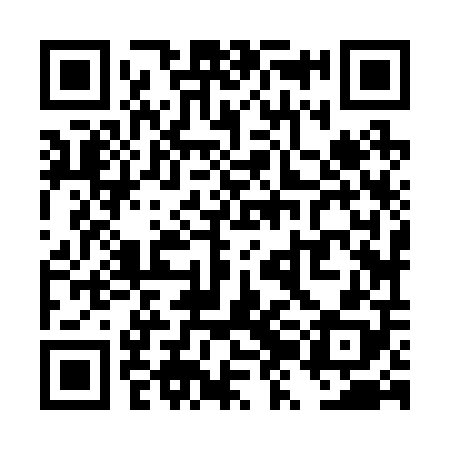 QR code for TZJ208