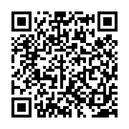 QR code for TZM413