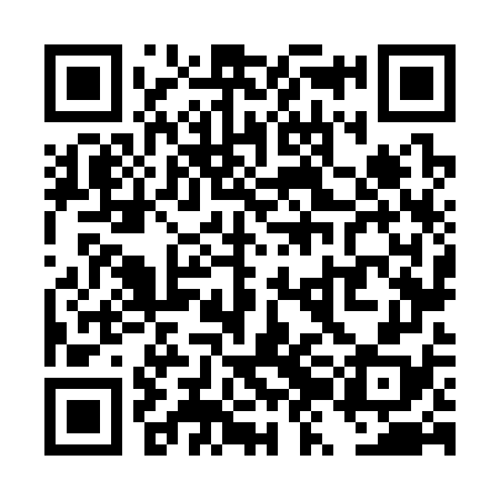 QR code for TZN378