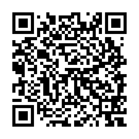 QR code for TZN398
