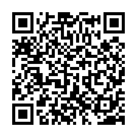 QR code for TZN511