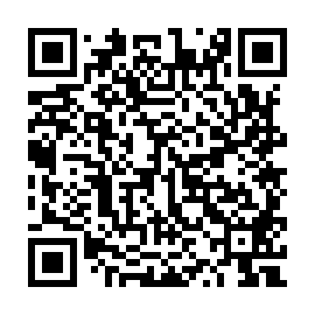 QR code for TZO988